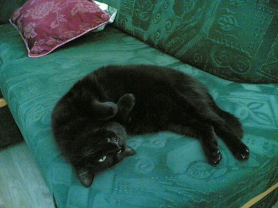 07092006(002).jpg