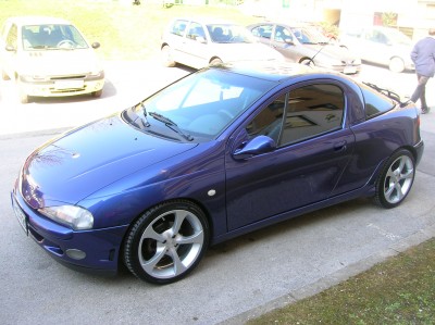 tigra1.JPG