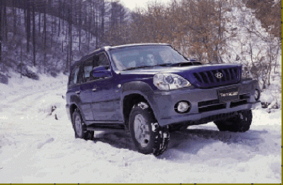 terra_Snow2.gif