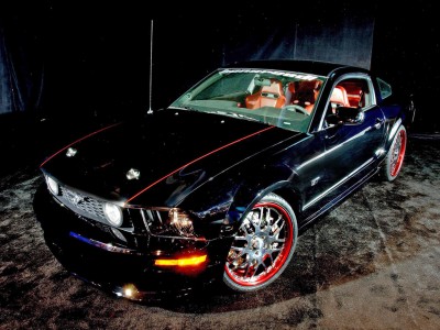 mustang5.jpg