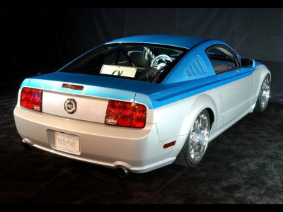 mustang1.jpg