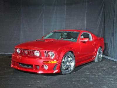 mustang8.jpg