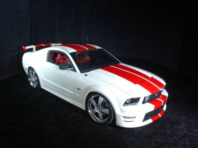 mustang7.jpg