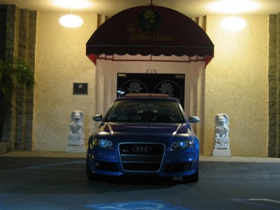 IMG_0936Large.jpg