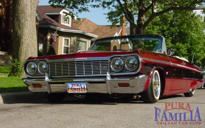 impala017.jpg