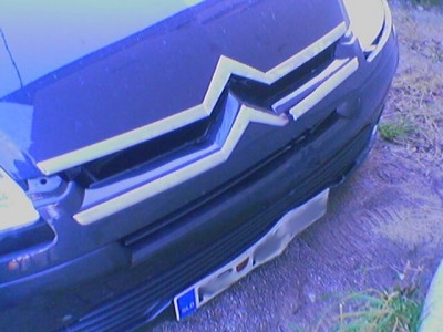 afric_36__051213_080217.jpg