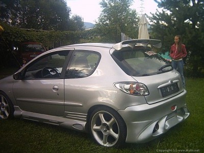 peugeot 206.jpg