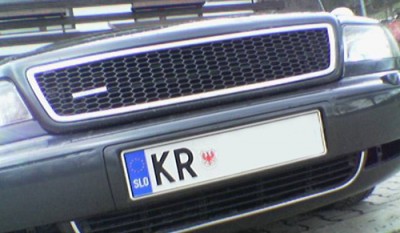 Podoba_mreza_rs4.jpg