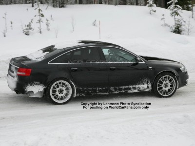 rs6_3.jpg