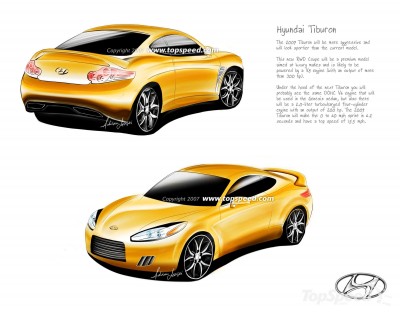 hyundai_TSw.jpg