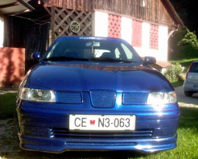 modra mrežica.jpg