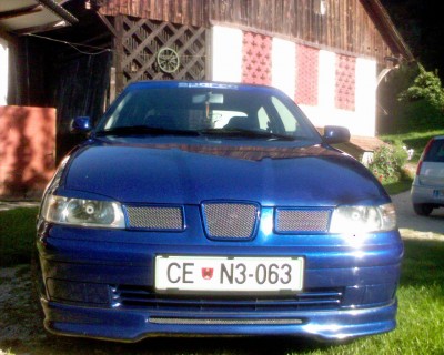 siva mrežica.jpg