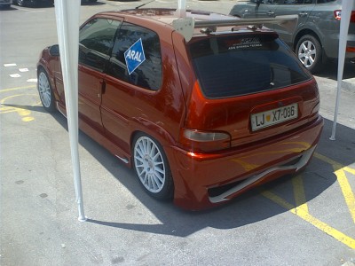 Slika370.jpg