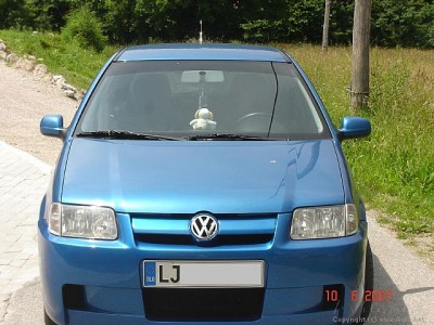 polo1.jpg