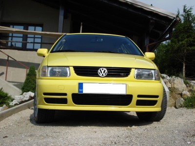 polo.JPG