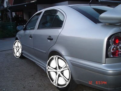 škodilak copy.jpg