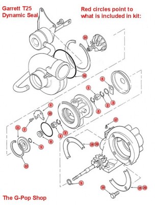 1web_t2_20dynamic_72dpi_3_.jpg