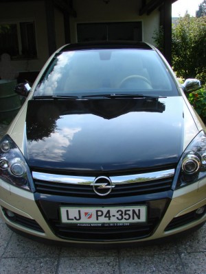 bicolor2.JPG