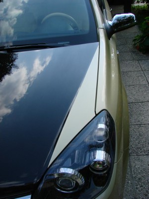 bicolor3.JPG