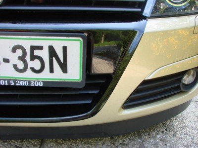 bicolor4.JPG