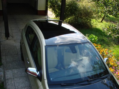 bicolor5.JPG