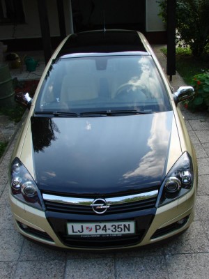 bicolor6.JPG