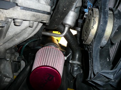 P1000315asd.JPG