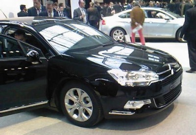 CitroeC5_1.jpg