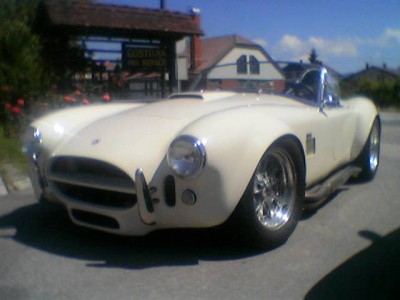 COBRA 1.jpg