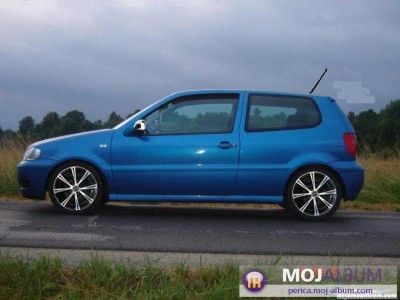 polo1.JPG
