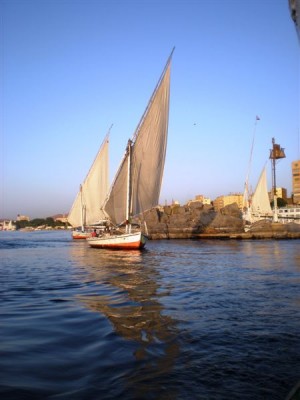 PB050121.JPG