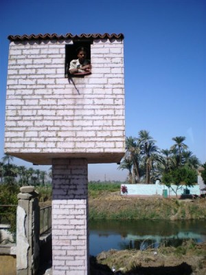 PB050064.JPG
