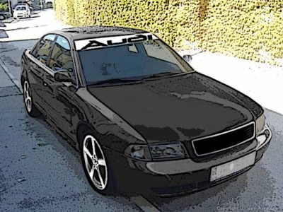 sulerAudi.jpg