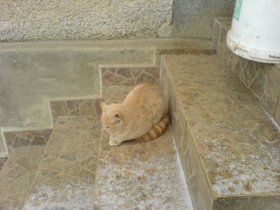 DSC00007.JPG