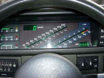 445.JPG