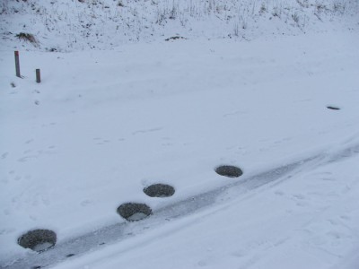 DSCF2565.jpg