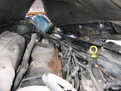 golf03.jpg