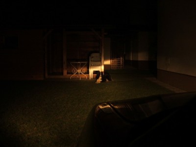 Elvelux-kratka_resize.JPG