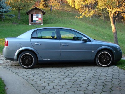 dotz opelvectra.jpg
