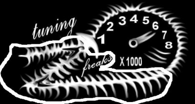 tuning freaks števec +++-+-+------++-000000.JPG