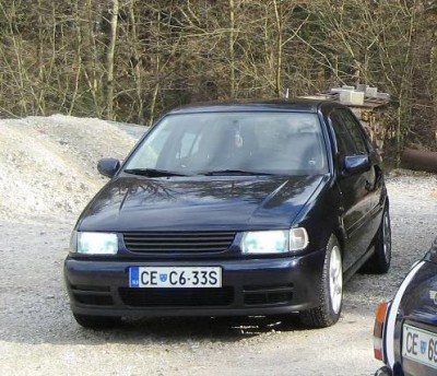 PoloXen.JPG