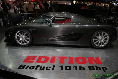 IMG_3670_20D_resize.jpg