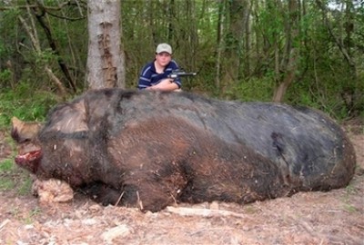 MonsterPig.jpg