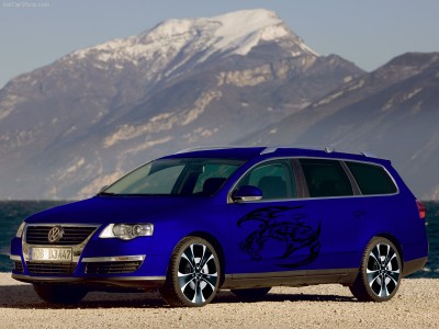Volkswagen-Passat_Variant_tatu3.jpg