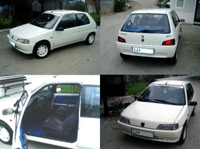 PUGI11.JPG