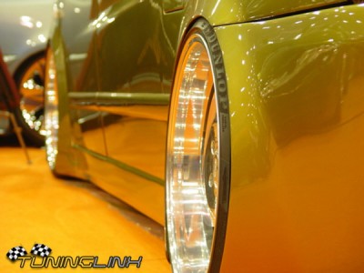 db_pts2005_5551.jpg