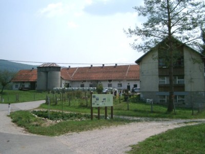 uganka118.jpg