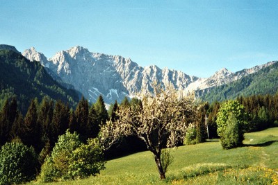 uganka124.jpg