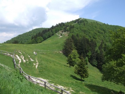 vrh Blegoša1.JPG