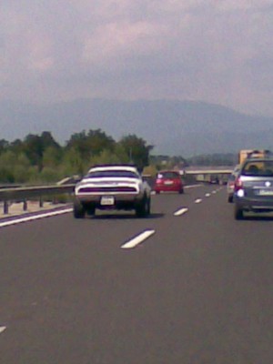 29072008.jpg